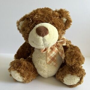 Mary Meyer Teddy Brown Bear Plush 12" Family Christian Stores Stuffed Animal toy